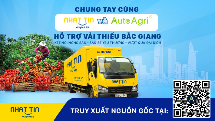 Nhất Tín Express chung tay cùng nền tảng số hóa – AutoAgri hỗ trợ tiêu thụ vải thiều Bắc Giang
